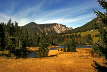 佛山高明区2民间私贷攻略：揭秘低成本借贷的秘密