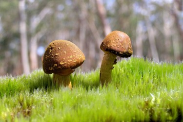 佛山高明区2私人老板放款：轻松融资的秘密通道